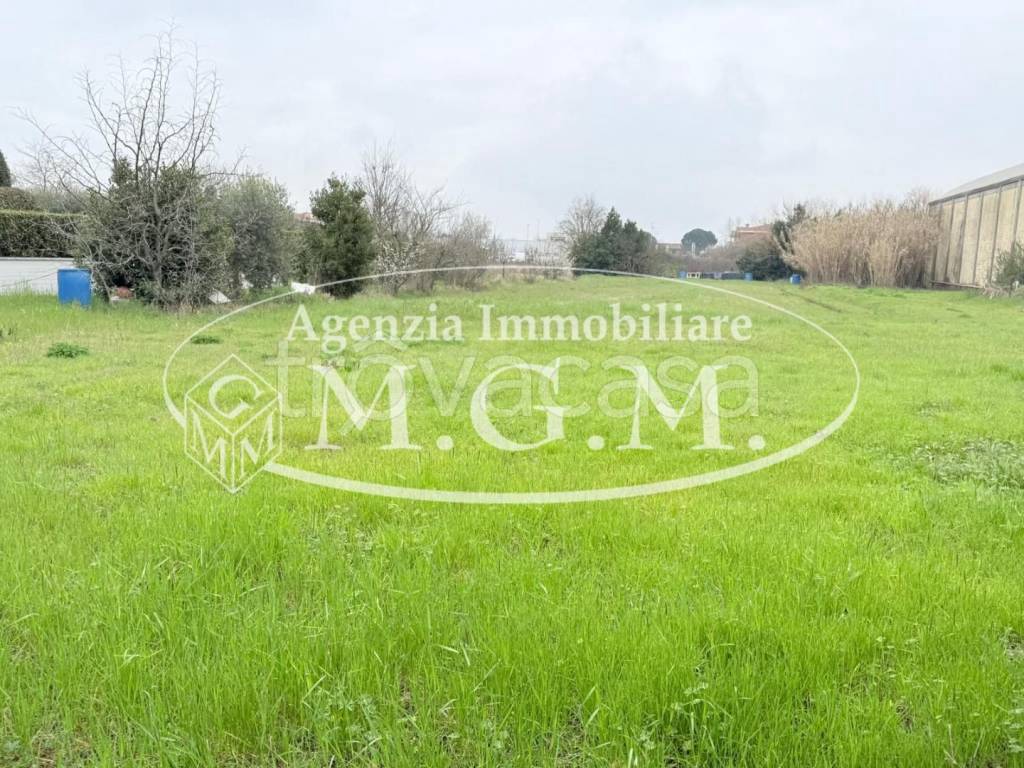 immagine annuncio 1 di 6