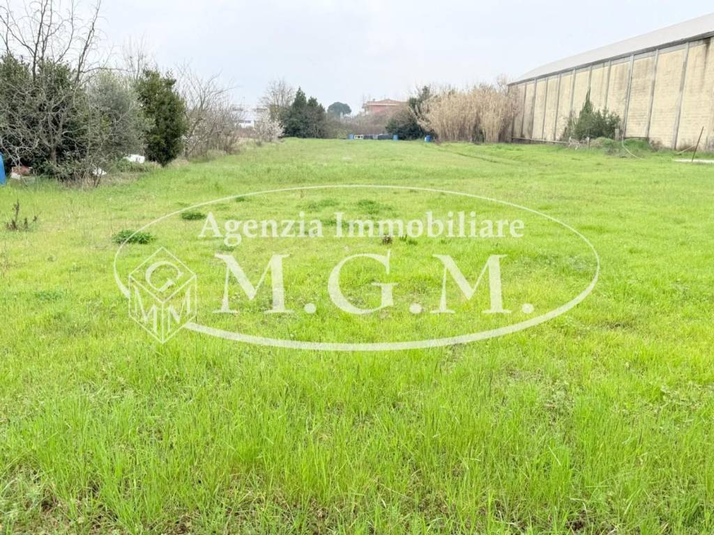 immagine annuncio 2 di 6