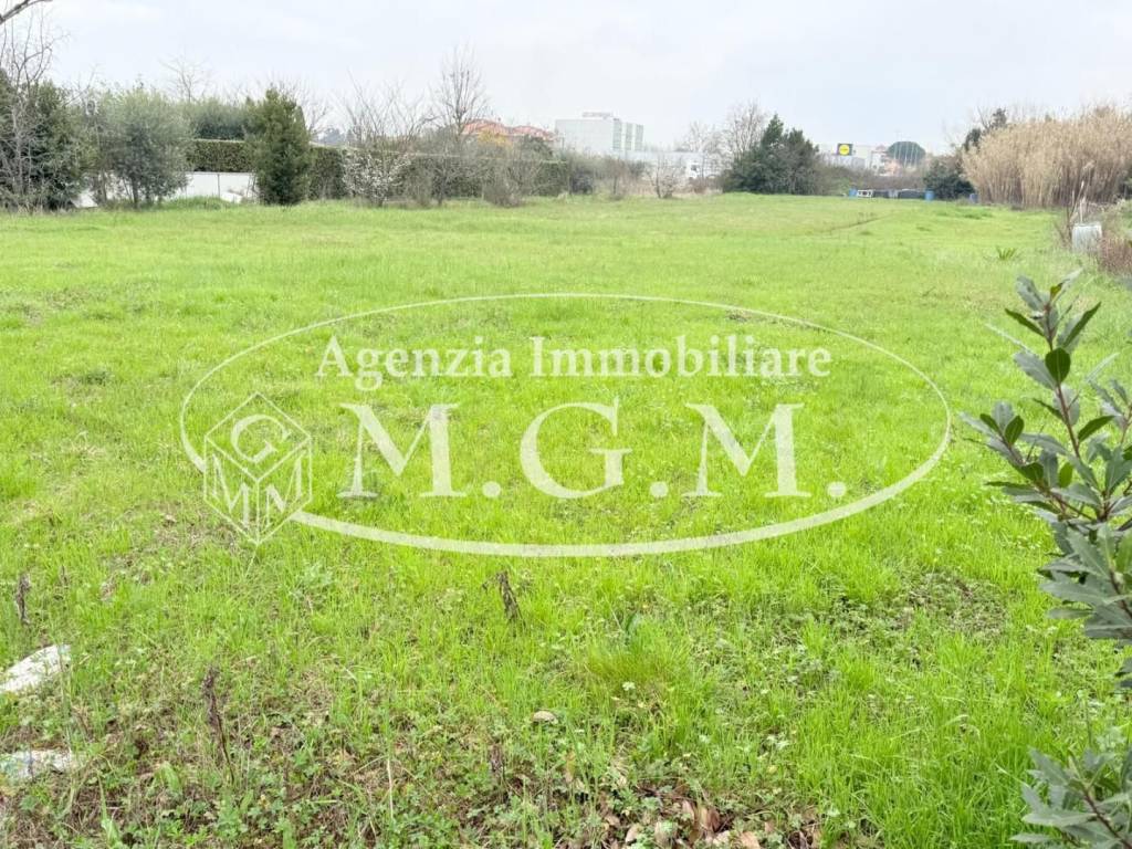 immagine annuncio 3 di 6