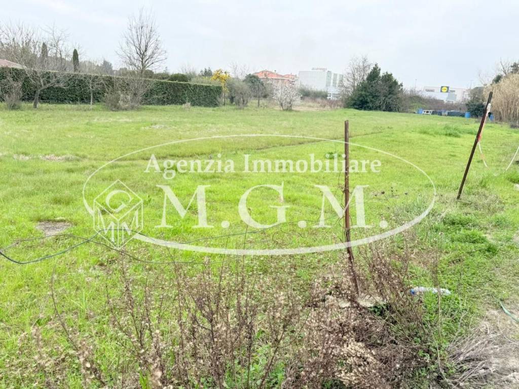 immagine annuncio 4 di 6