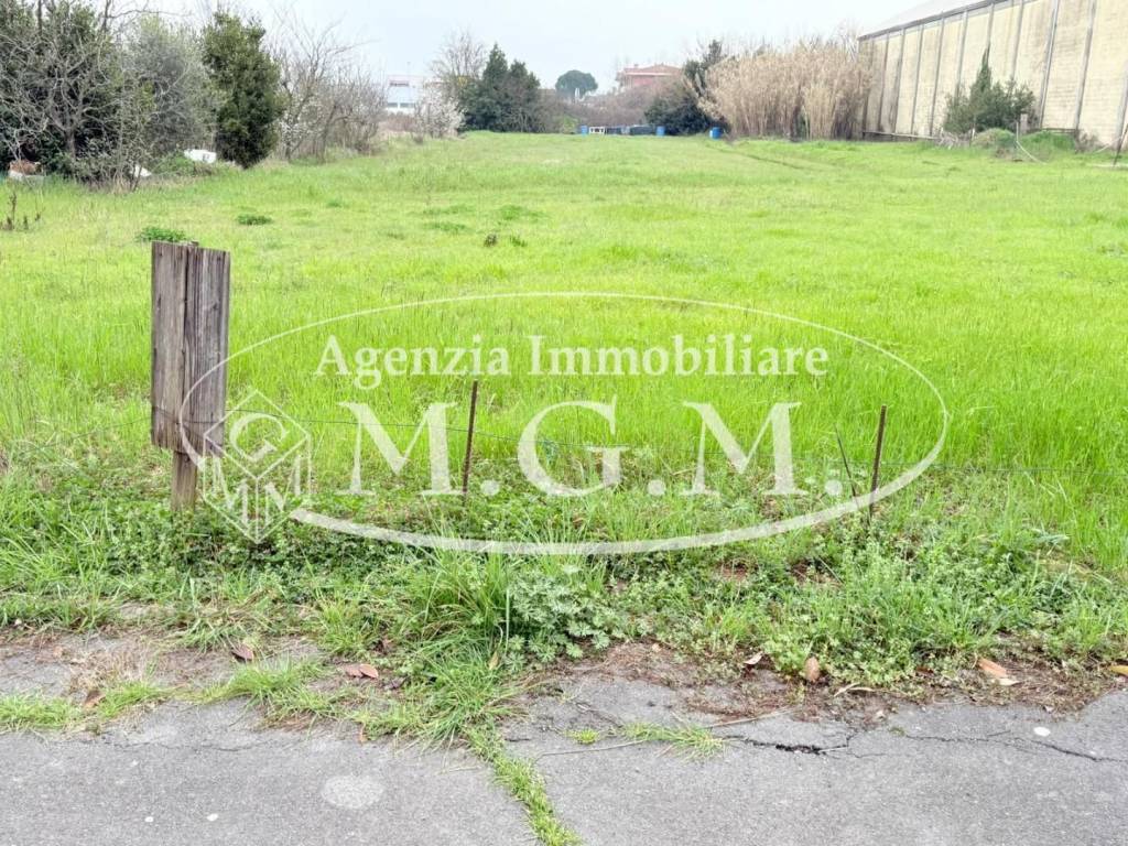 immagine annuncio 5 di 6