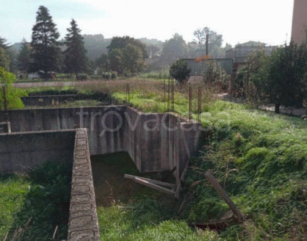 immagine annuncio 4 di 8