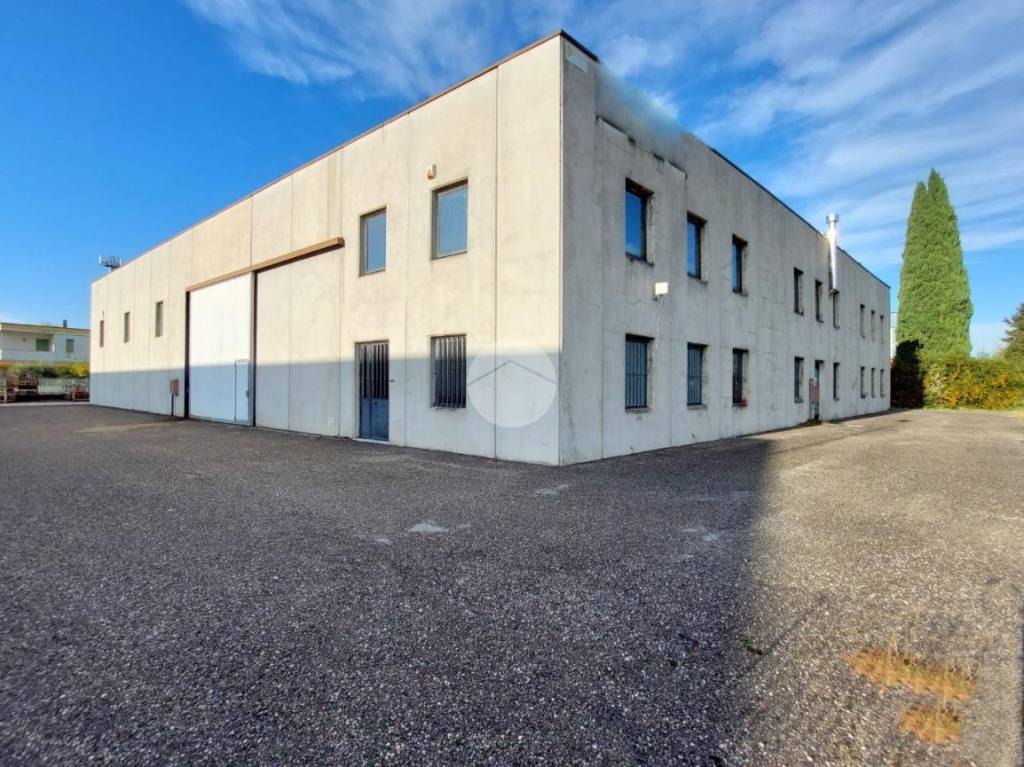 immagine annuncio 5 di 10