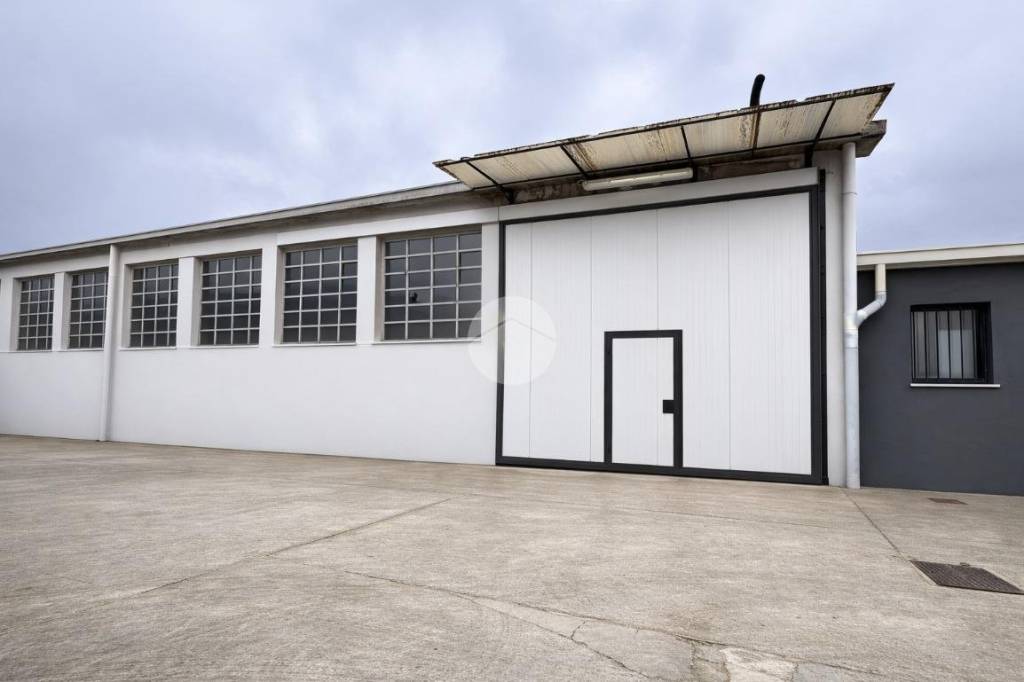 immagine annuncio 2 di 10