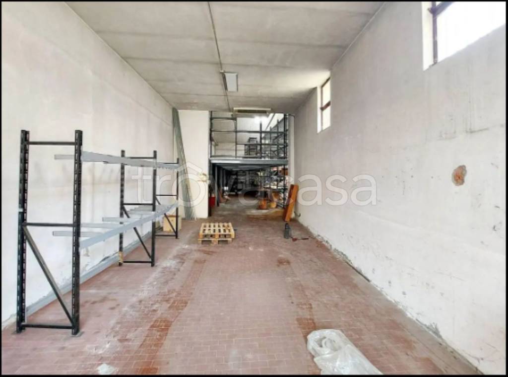 immagine annuncio 5 di 14