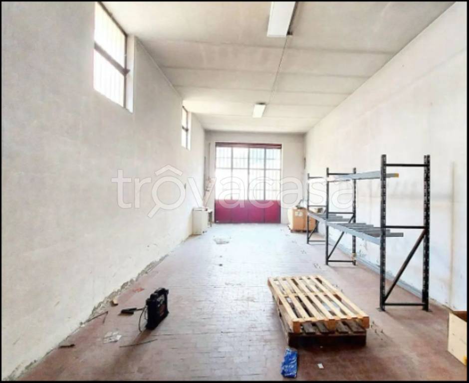 immagine annuncio 6 di 14