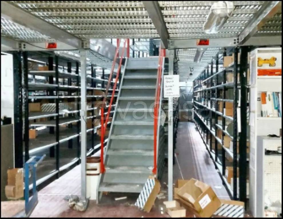 immagine annuncio 9 di 14