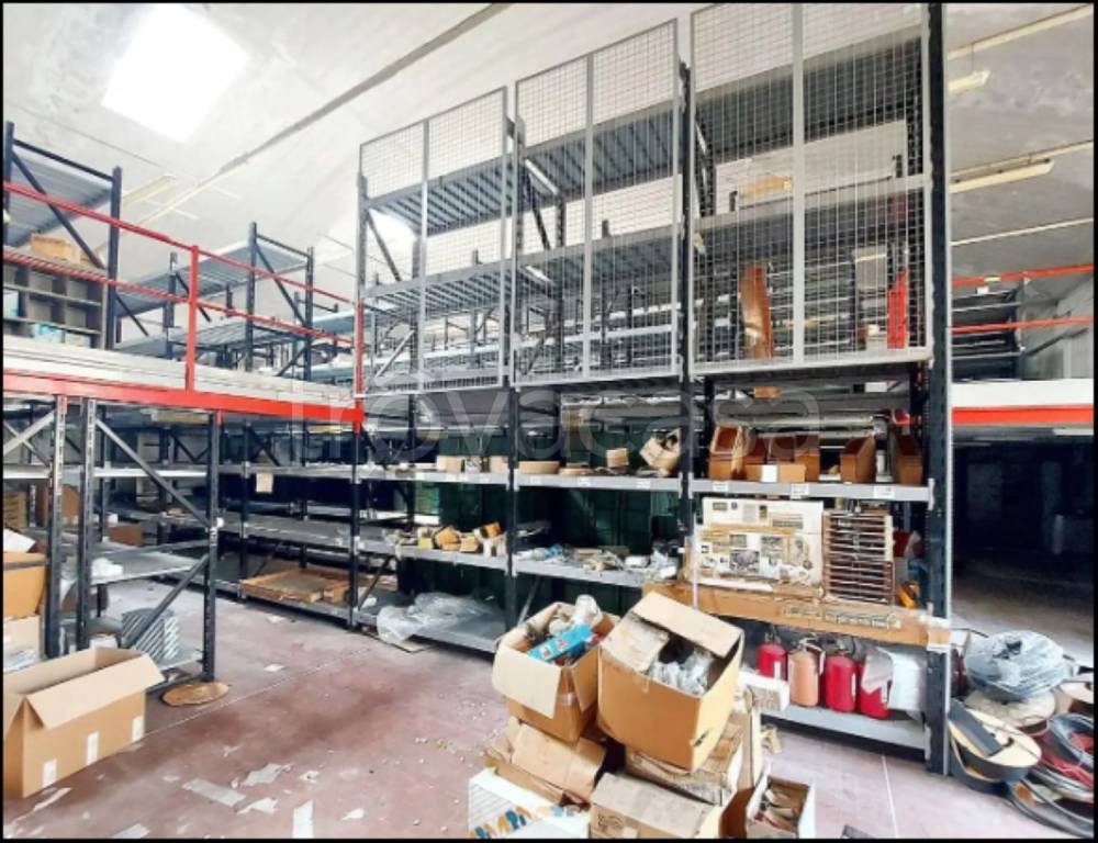 immagine annuncio 11 di 14