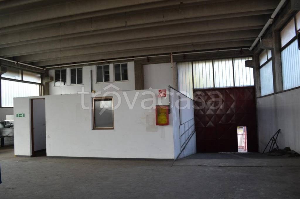 immagine annuncio 6 di 11