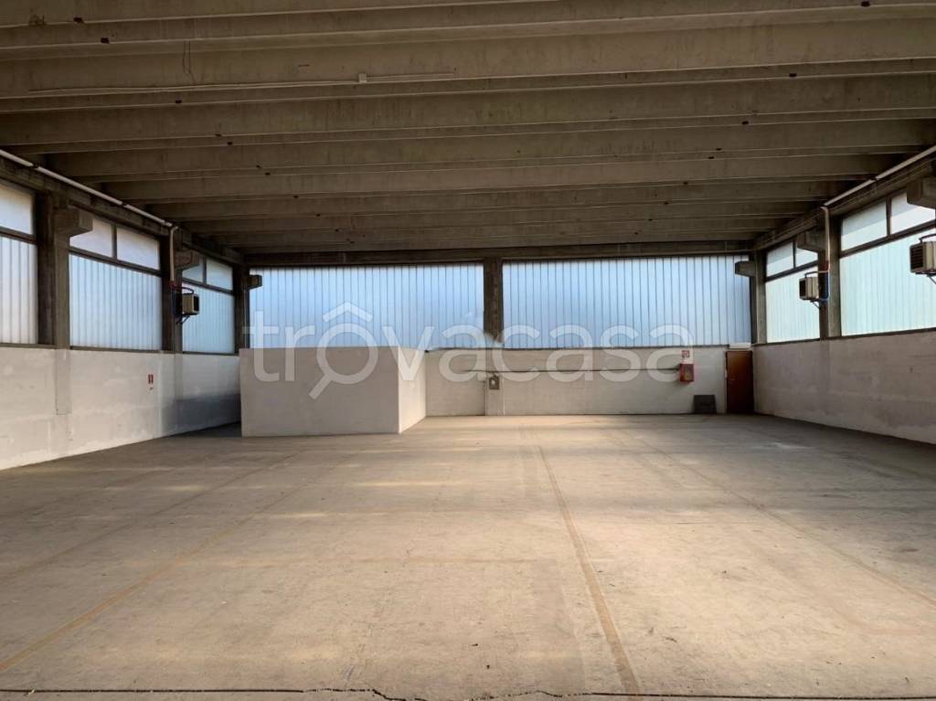 immagine annuncio 8 di 11