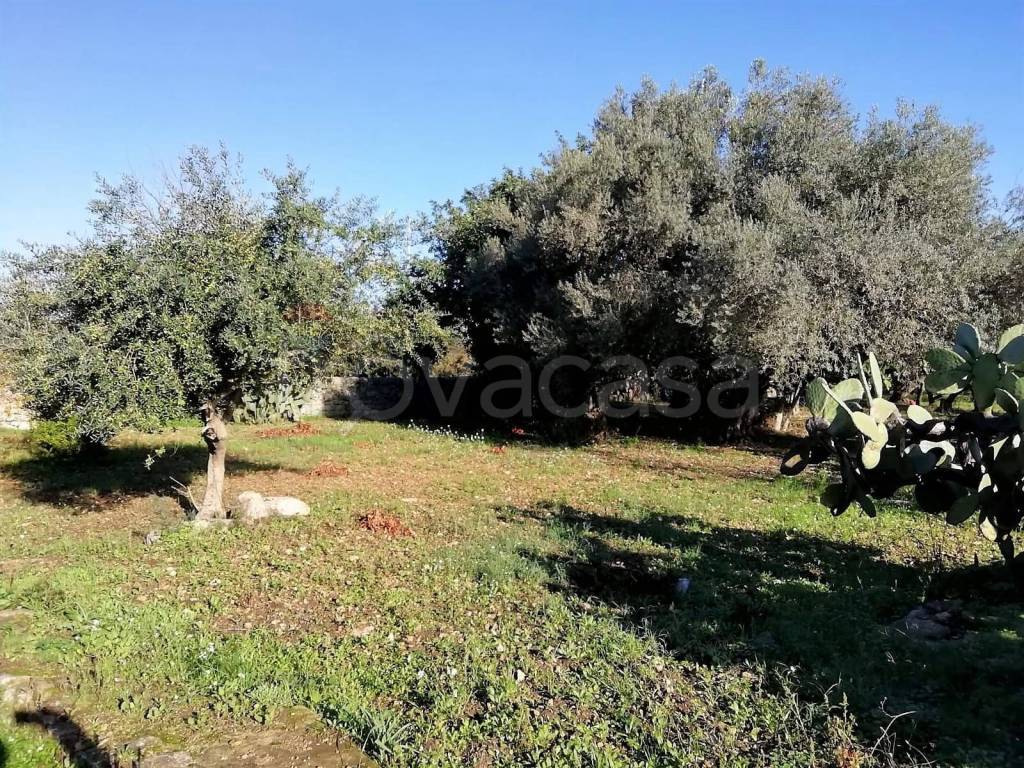 immagine annuncio 5 di 12