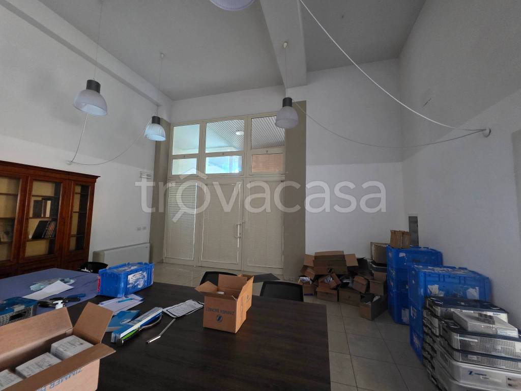 immagine annuncio 2 di 13