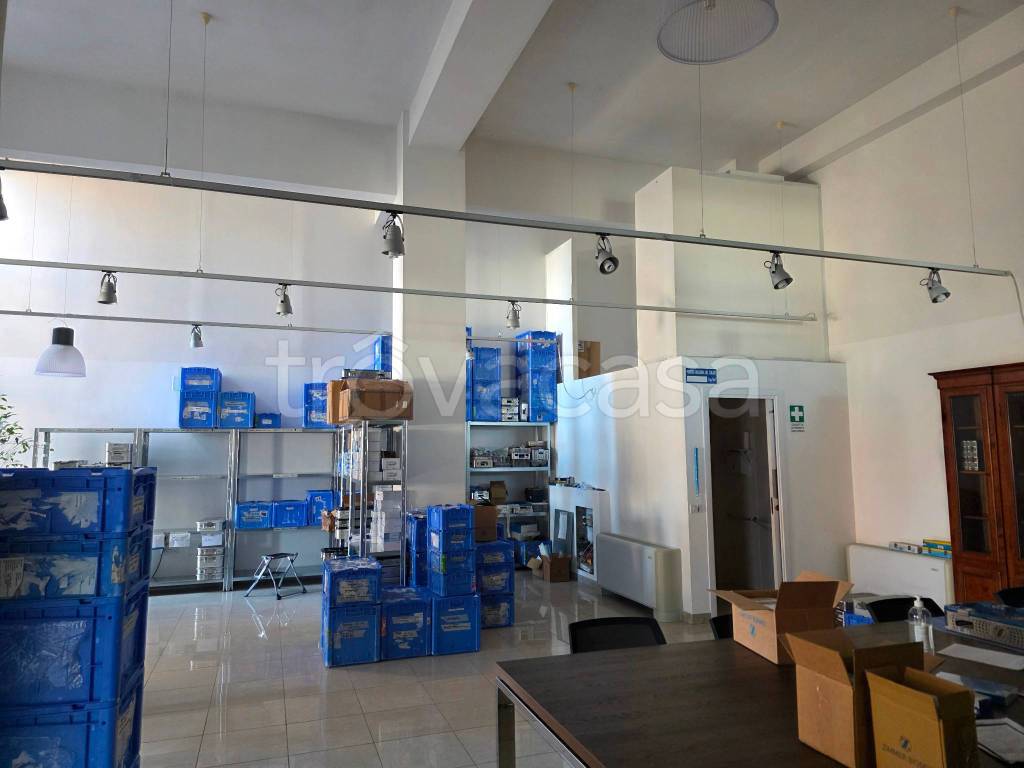 immagine annuncio 7 di 13