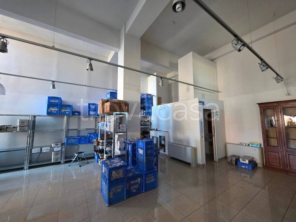 immagine annuncio 11 di 13