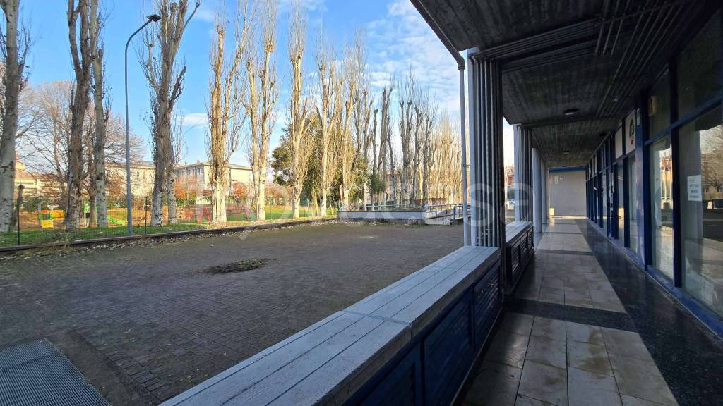 immagine annuncio 2 di 6