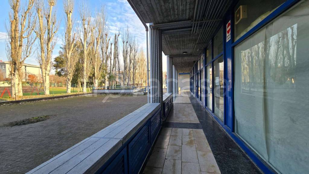 immagine annuncio 5 di 6