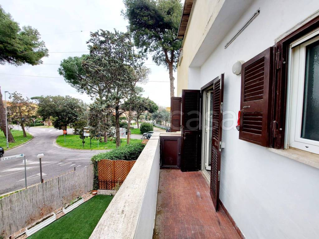 immagine annuncio 1 di 14