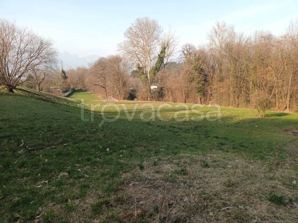 immagine annuncio 3 di 14