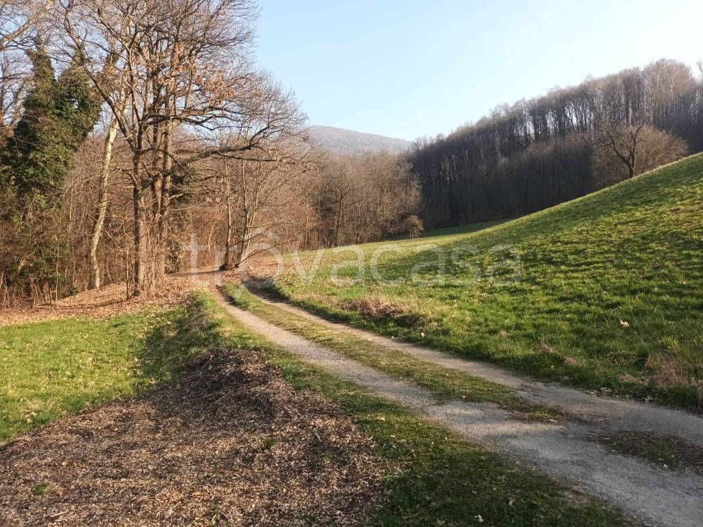 immagine annuncio 9 di 14