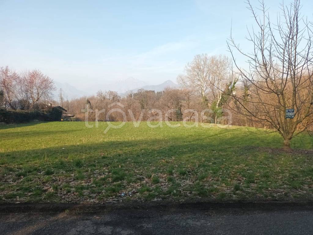 immagine annuncio 11 di 14