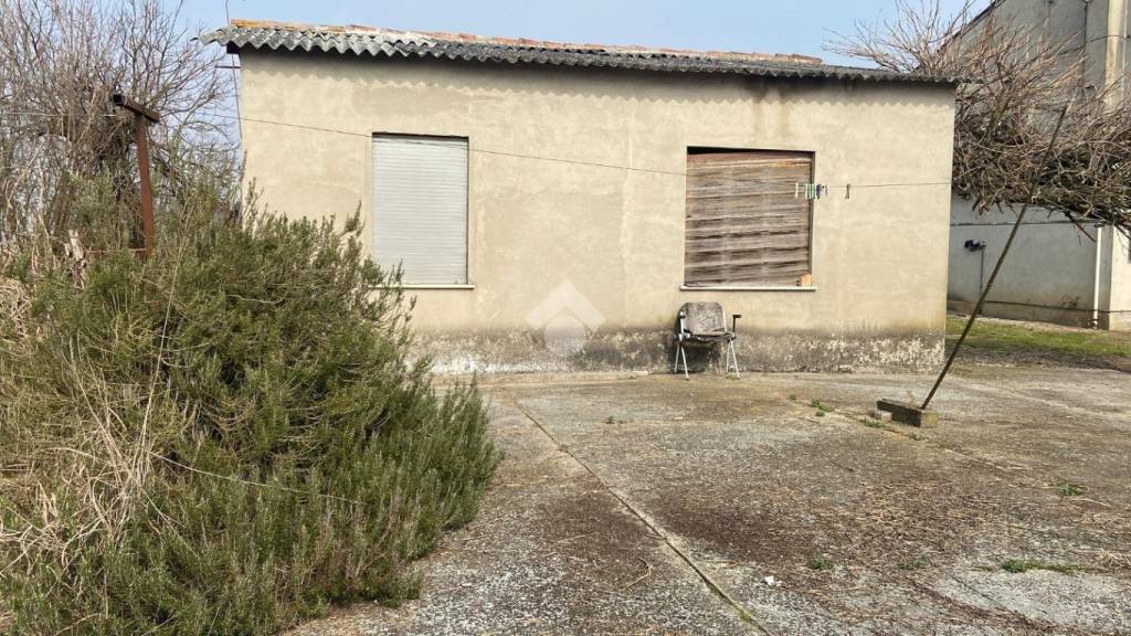 immagine annuncio 12 di 14