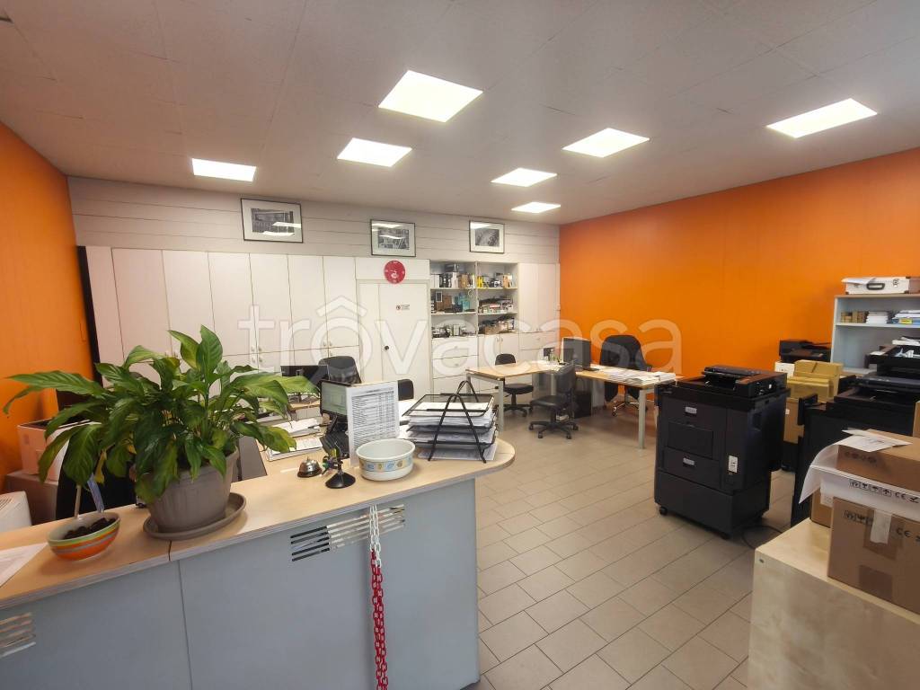 immagine annuncio 5 di 11