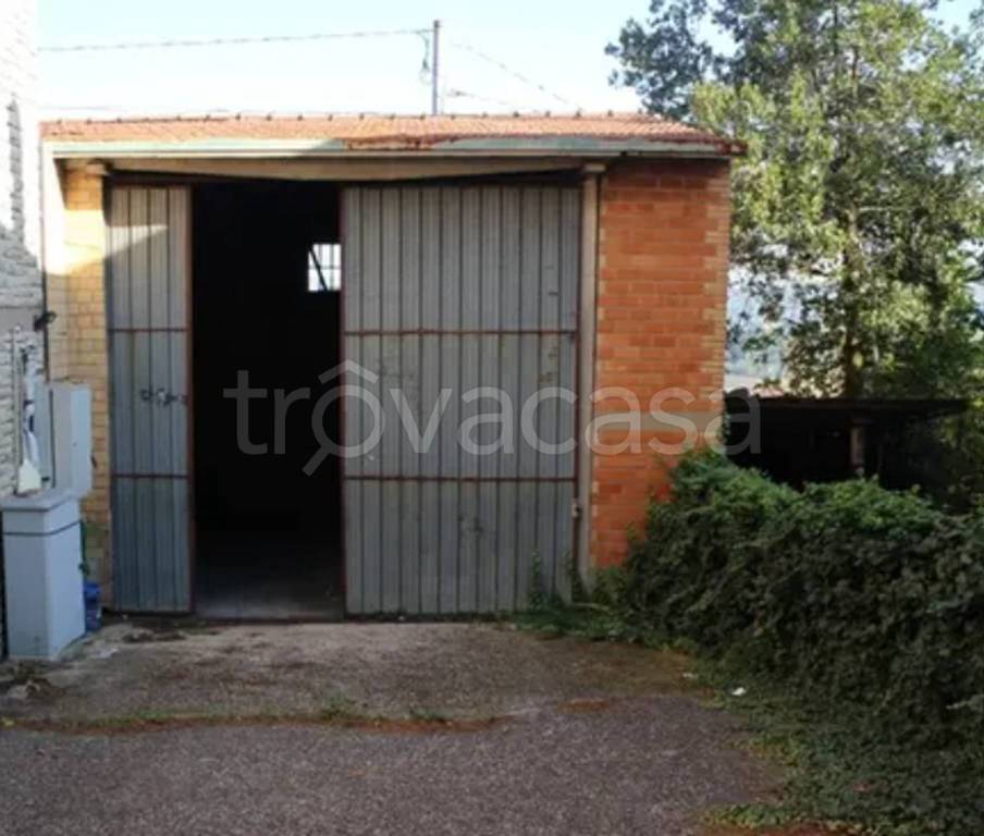 immagine annuncio 11 di 12