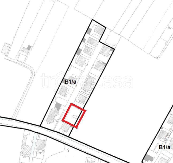 immagine annuncio 3 di 12