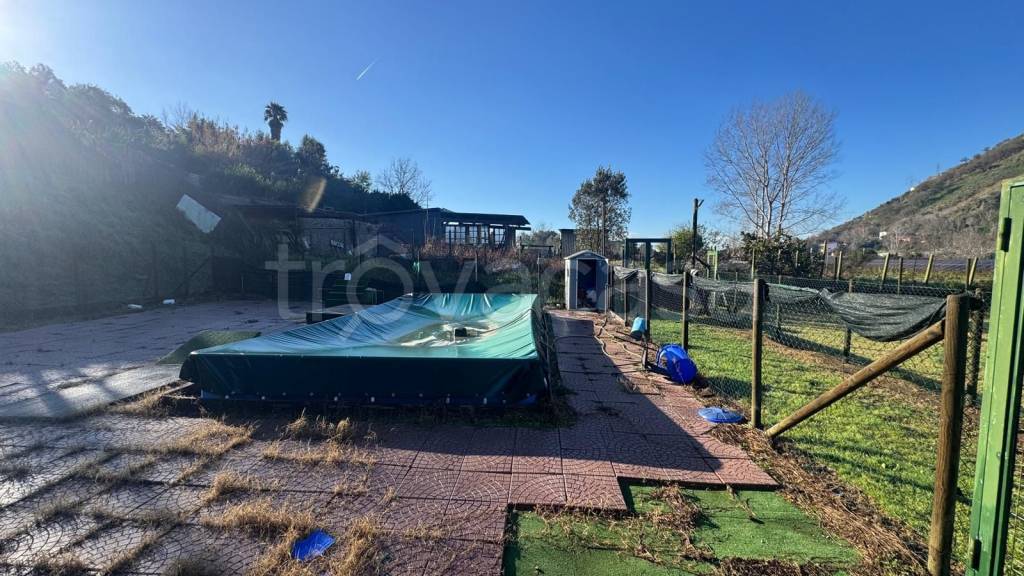 immagine annuncio 6 di 13