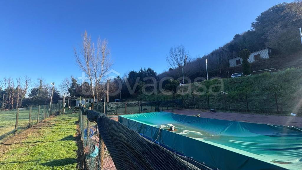 immagine annuncio 7 di 13