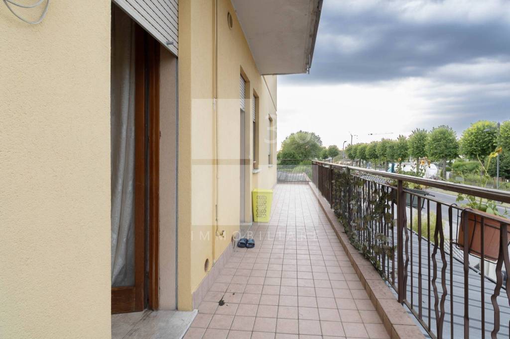 immagine annuncio 9 di 12