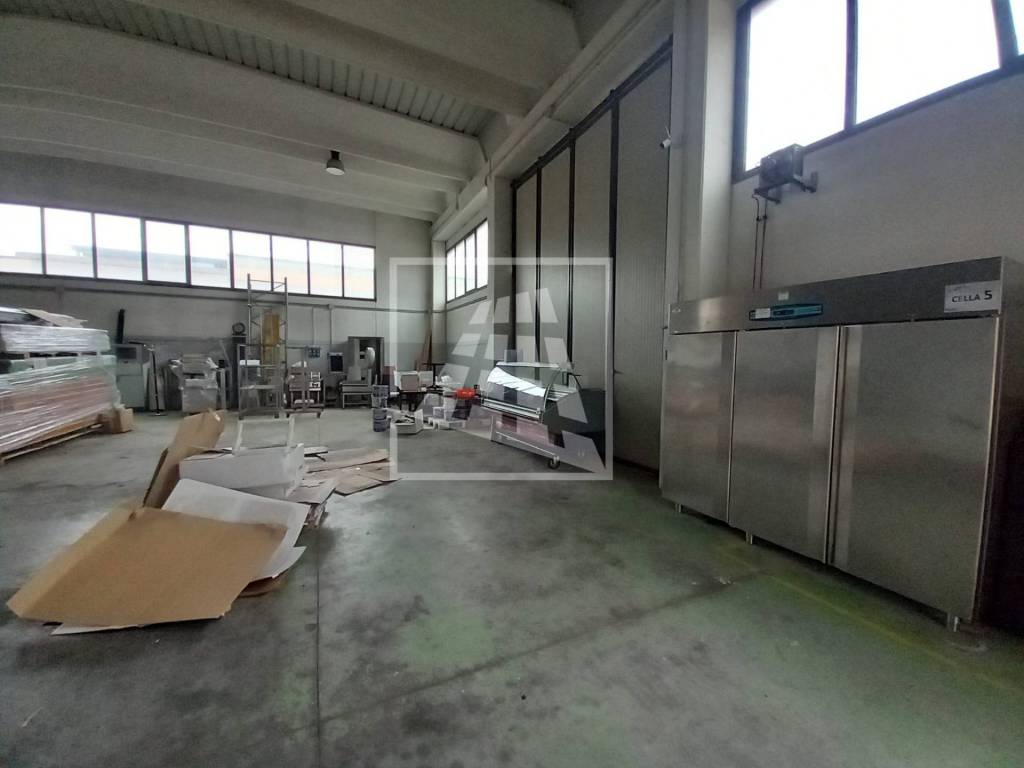 immagine annuncio 5 di 15