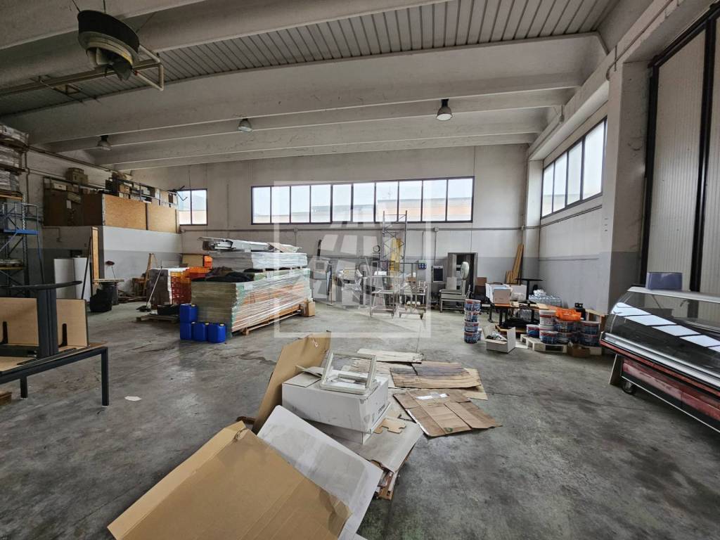 immagine annuncio 7 di 15