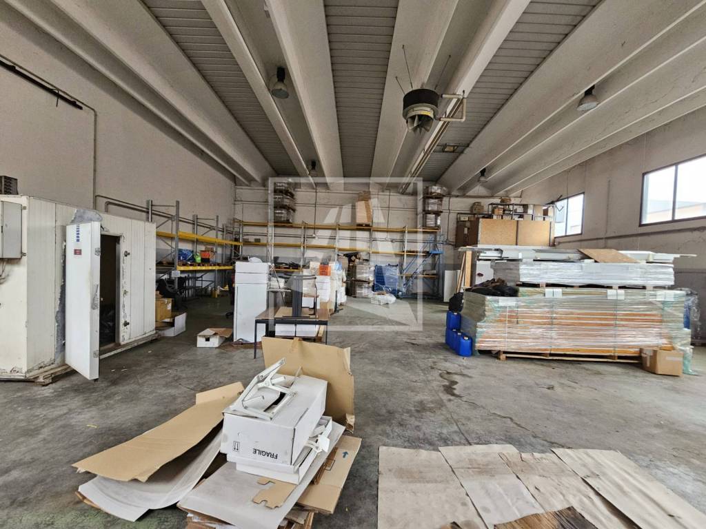 immagine annuncio 10 di 15