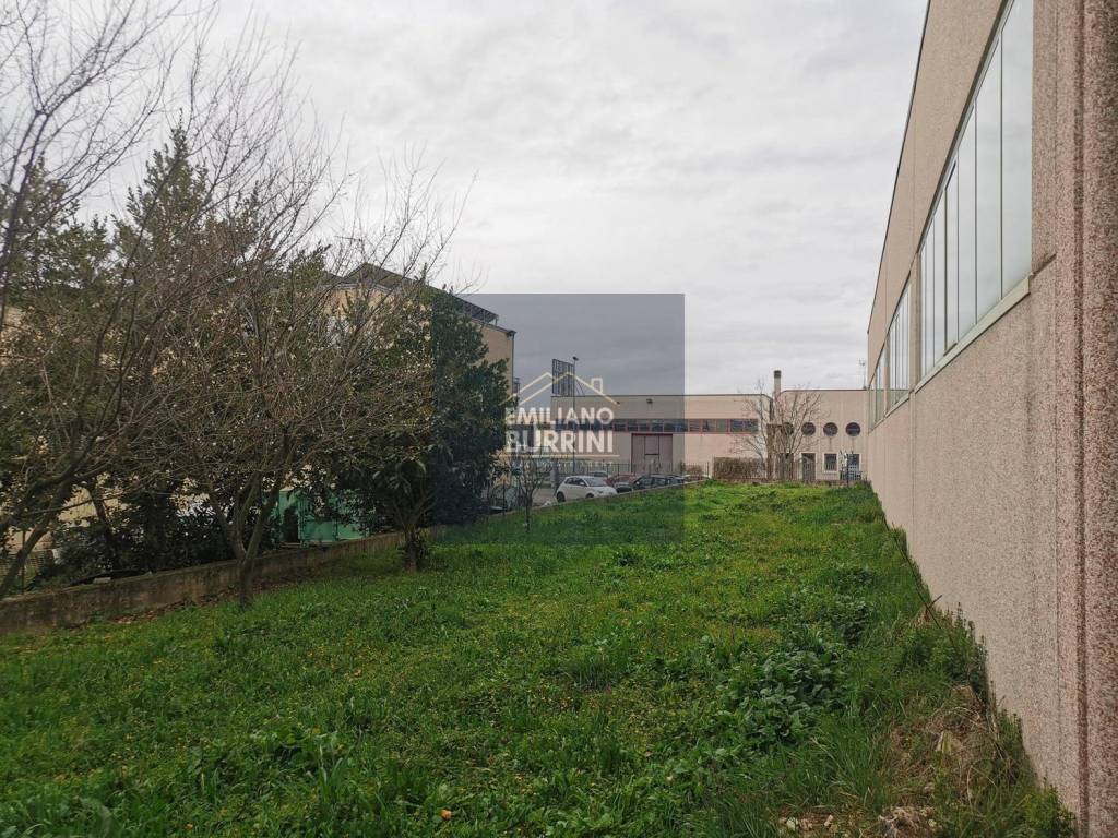 immagine annuncio 3 di 12