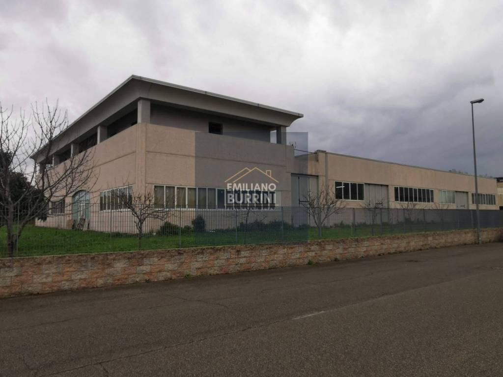 immagine annuncio 5 di 12