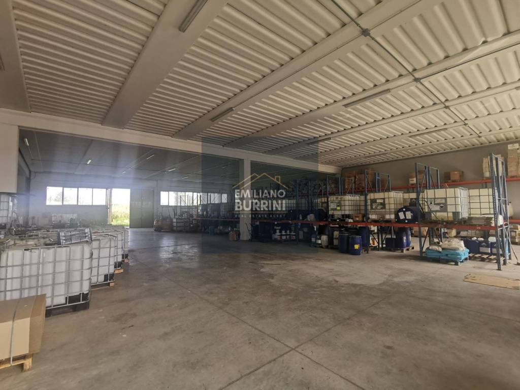 immagine annuncio 9 di 12