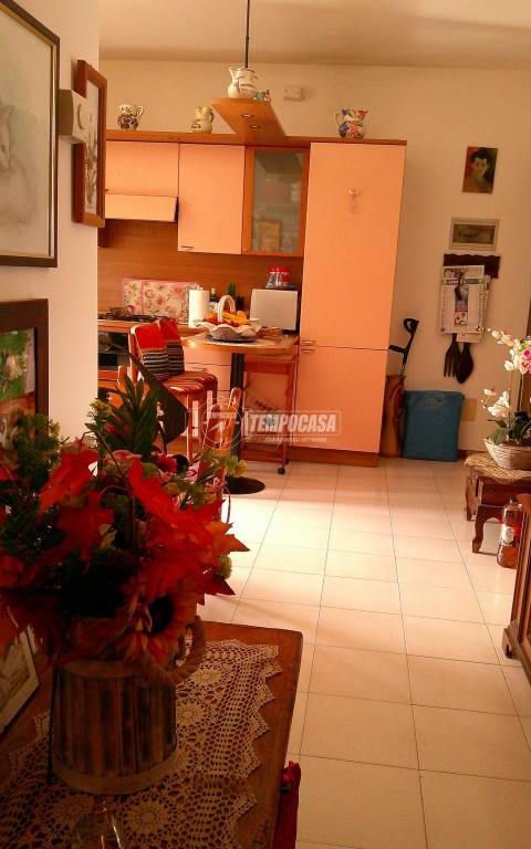 immagine annuncio 5 di 14