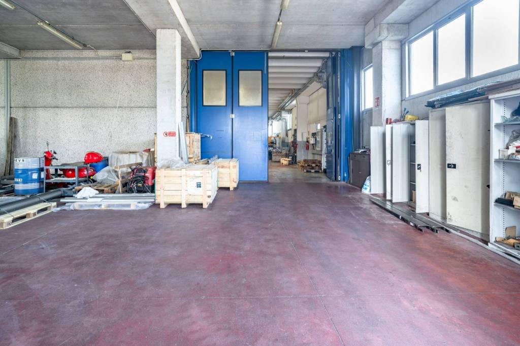 immagine annuncio 6 di 15