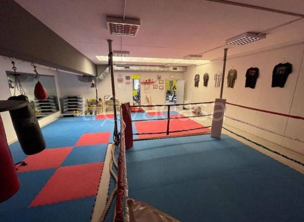 immagine annuncio 11 di 15