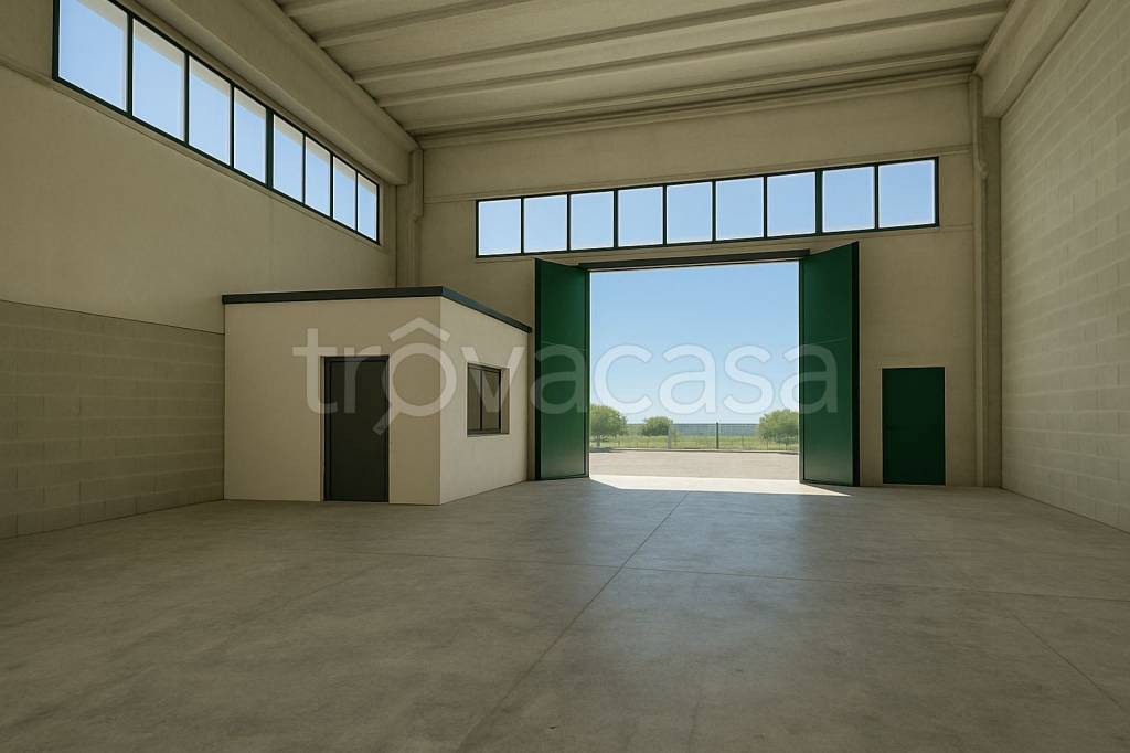 immagine annuncio 2 di 7