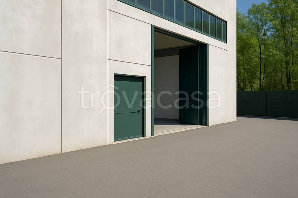 immagine annuncio 6 di 7