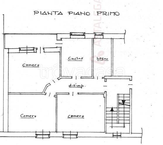 immagine annuncio 12 di 13