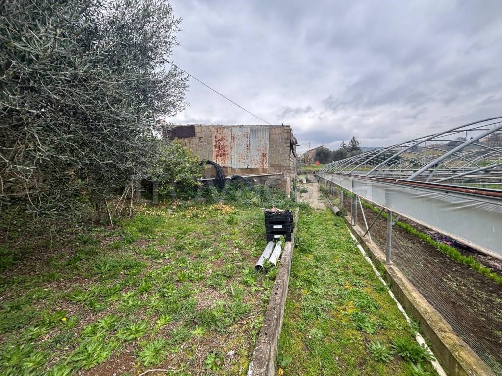 immagine annuncio 9 di 12