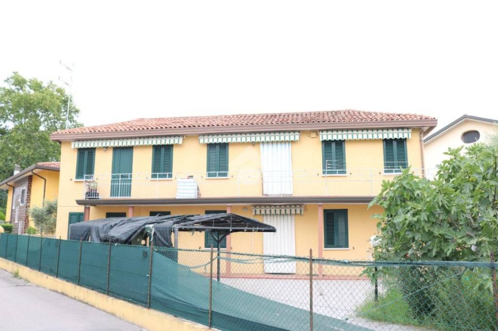 immagine annuncio 1 di 14