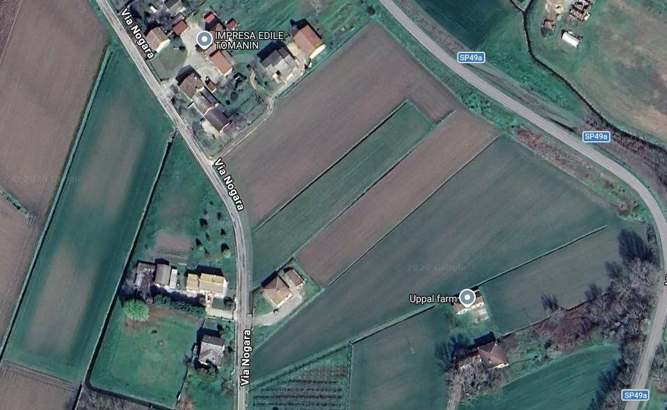 immagine annuncio 2 di 4