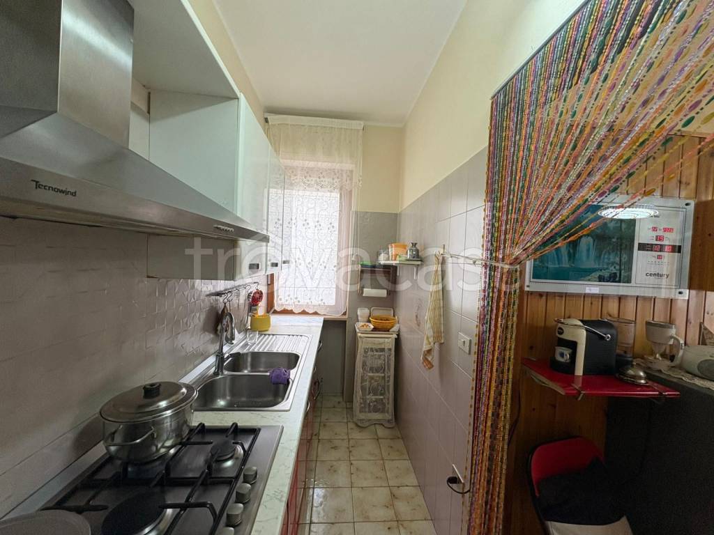 immagine annuncio 11 di 14