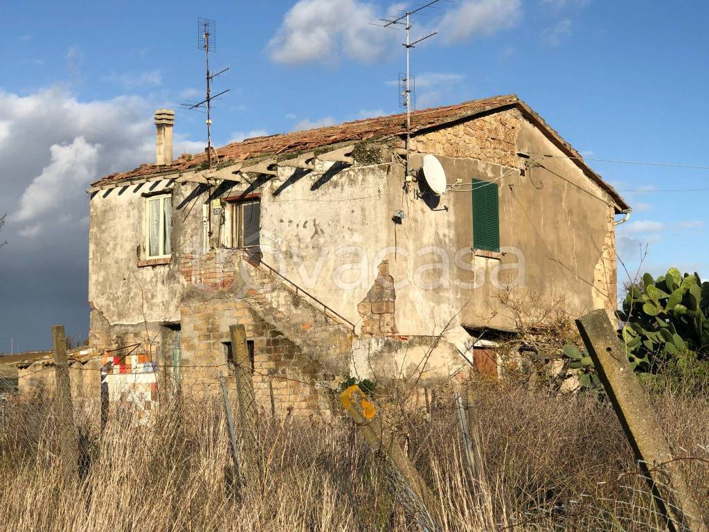 immagine annuncio 4 di 6