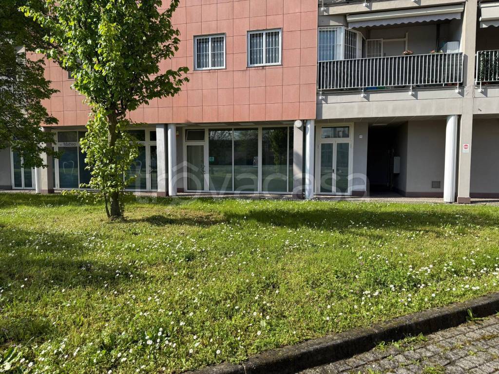 immagine annuncio 1 di 10