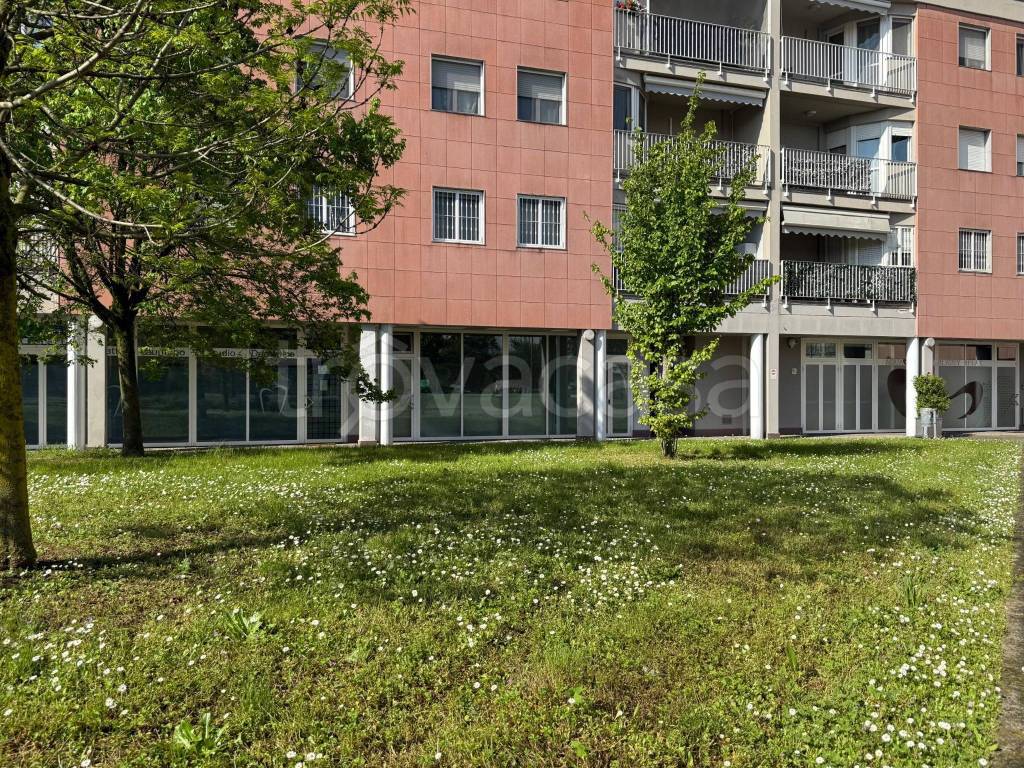 immagine annuncio 8 di 10